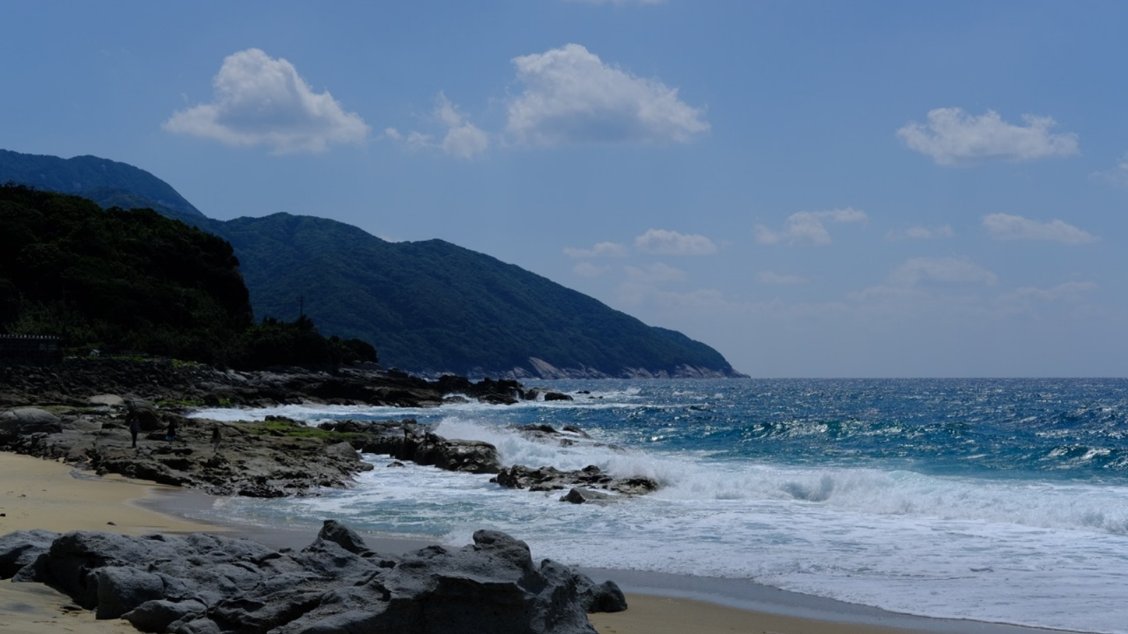 フリースタイル