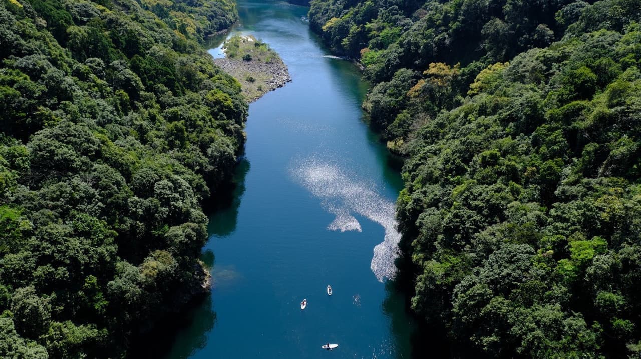 パドルボード SUP