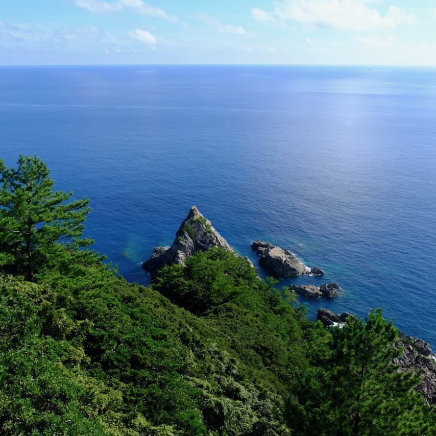 フリースタイル5