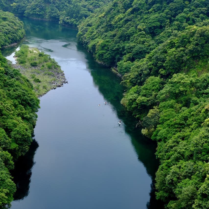 フリースタイル1