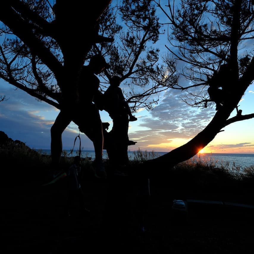 フリースタイル6